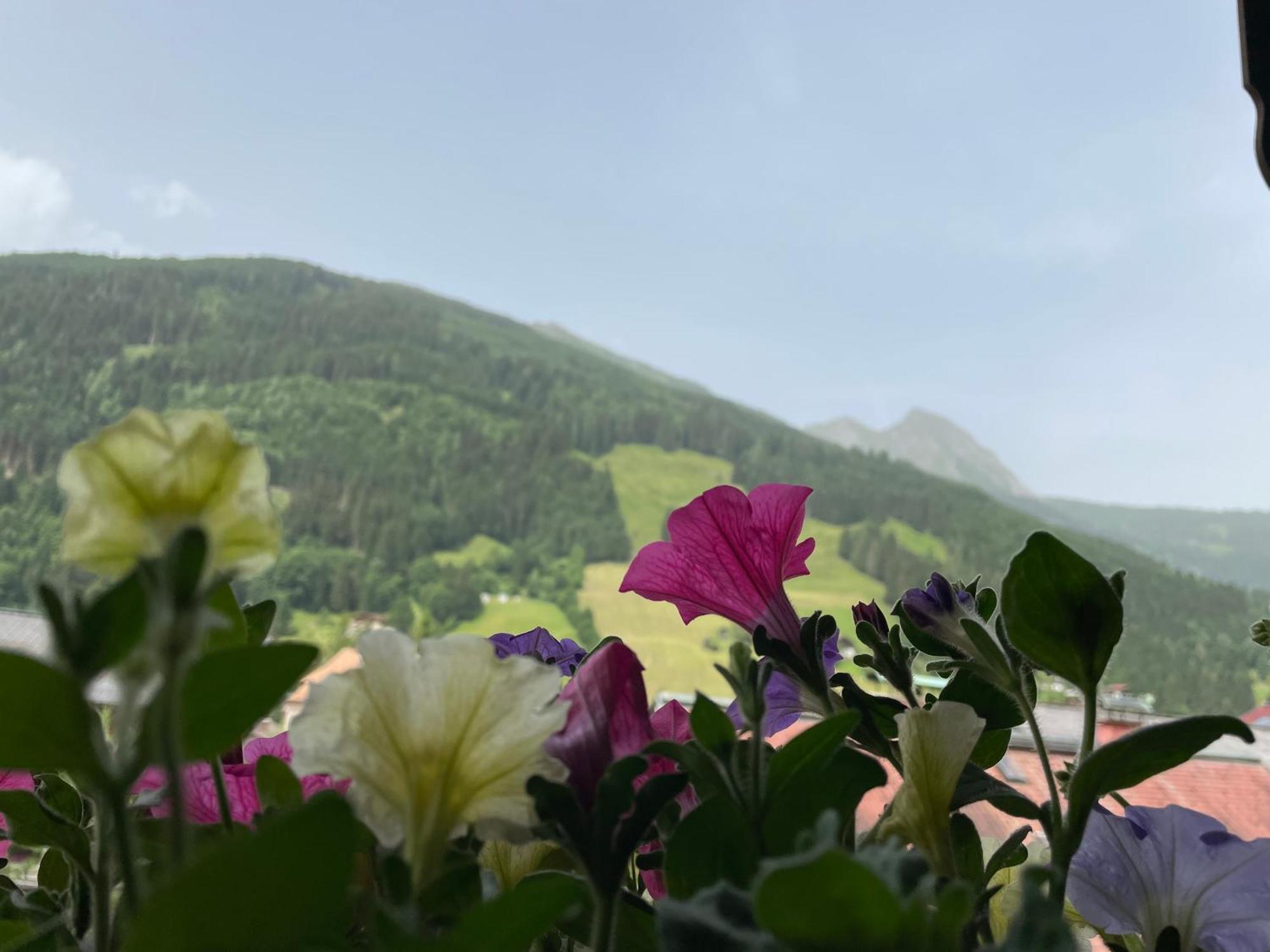 Wengerbauer Vila Dorfgastein Exterior foto